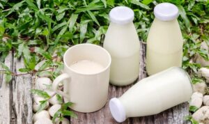 Sữa tươi nguyên chất